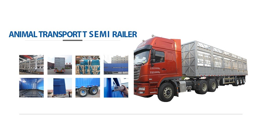 qualidade Semi-reboque de cama baixa fábrica